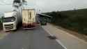 brazilian charity truck_thumb.jpg