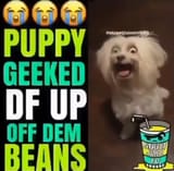 beans