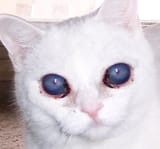 13889669365432