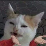 1724962854992841