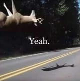 yeah
