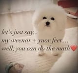 IMG_20241011_190319_825