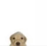 1726616043095942