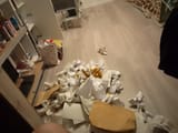 IMG_20250626_012117