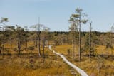 wLinnaistensuo-16-uai-1032x688
