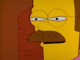 mfw ned