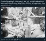 coney island flip zoo