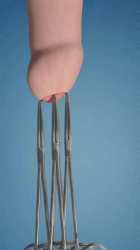 1742880403729248_thumb.jpg