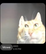 1662779590083902