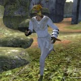 SI-npc-Runs-in-Circles
