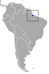 Marajó_Short-tailed_Opossum_area
