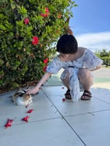 IMG_9074