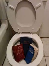 poo in loo