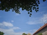 1749072361271089