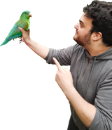 1738392850303600