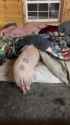 m2-res_854p_thumb.jpg
