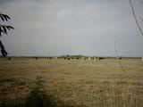 Bachten_de_Kupe