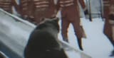 Screenshot_20250626_183439_YouTube