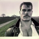 blend enzo
