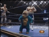 midget-fight