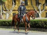 cavalaria