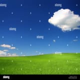 green-hill-avec-le-ble-sous-ciel-bleu-d0t31p