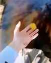 1725903228701458_thumb.jpg