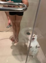 Fwrk4kLXsAESAPZ