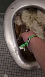 11050187_thumb.jpg