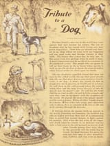 tribute to a dog