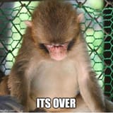 Its over monkey 2