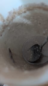 PXL_20250627_063207081
