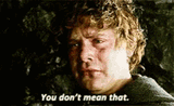lord-of-the-rings-you-dont-mean-that