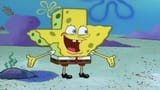 hey patrick, what am i now