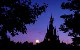DLP-Caste-Night