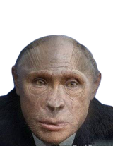 monkey1 (4)