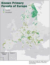 1-newmapshowsm