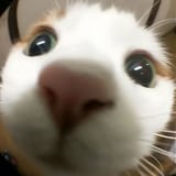 1736364024456585