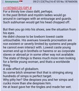 Serbian pajeet