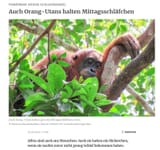orang