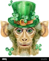 monkey-head-isolated-on-white-background-monkey-watercolor-illustration-with-splashes-2WMABFG