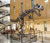 images - 2025-06-24T174014.378