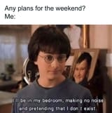 weekend-harry