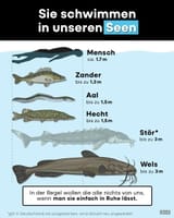 Fisch_Deutschland