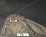 1414