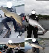 PB