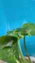 ssstwitter.com_1751045082992 (1)_thumb.jpg