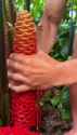 1750909542968404_thumb.jpg