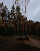 1727995940756508