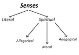 Senses-2495929893
